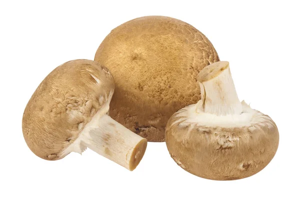 Pilze Isoliert Auf Weißem Hintergrund Champignon Pilze Detail Für Design — Stockfoto