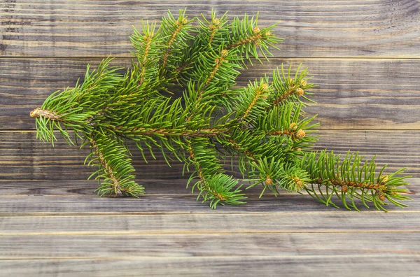 圣诞树的绿色枝条放在木制桌子上 在木制背景上的圣诞树的枝条 设计的细节 设计元素 全神贯注名片 明信片和海报的背景 — 图库照片