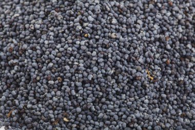 Arka plan olarak çakıl gelinciği dokusu. Tasarım ayrıntıları. Tasarım elemanları. Makro. Tam odaklanma. Kartvizitler, kartpostallar ve posterler için arka plan. Gıda nesnesi tasarımı. 