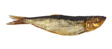 Beyaz arka planda izole edilmiş tütsülenmiş ringa balığı. Tasarım ayrıntıları. Tasarım elemanları. Makro. Tam odaklanma. Kartvizitler, kartpostallar ve posterler için arka plan. Gıda nesnesi tasarımı. 