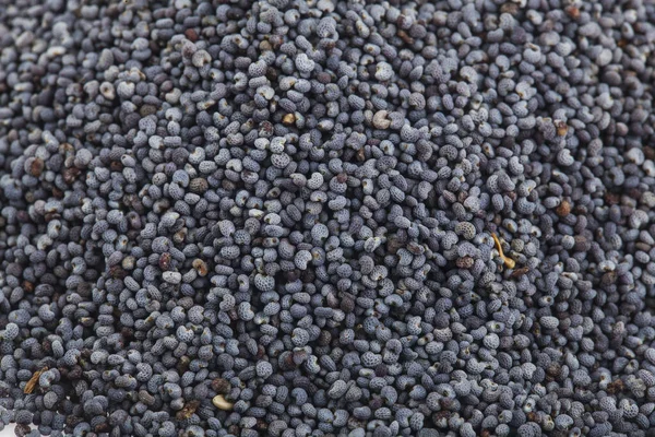 Arka plan olarak çakıl gelinciği dokusu. Tasarım ayrıntıları. Tasarım elemanları. Makro. Tam odaklanma. Kartvizitler, kartpostallar ve posterler için arka plan. Gıda nesnesi tasarımı. 