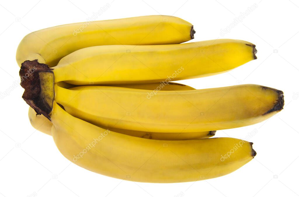 Bananas isolated on white background. Detail for design. Design elements. Macro. Full focus. Background for business cards, postcards and posters. Food object design. 