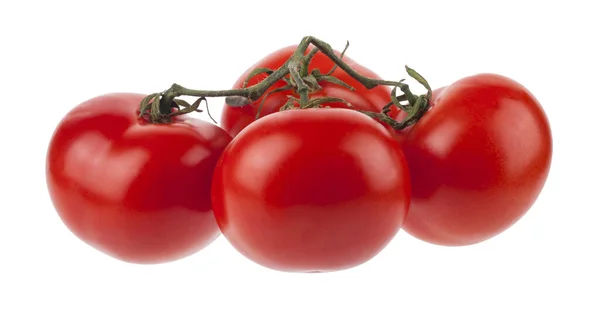 番茄被白色背景隔离 设计的细节 设计元素 全神贯注名片 明信片和海报的背景 食品物体的设计 — 图库照片