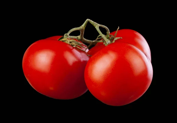 Tomatoes Isolated Black Background Vegetarian Food Detail Design Design Elements — Stock Photo, Image