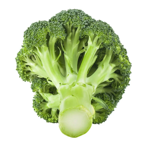 Broccoli Geïsoleerd Witte Achtergrond Vegetarisch Eten Detail Voor Ontwerp Ontwerpelementen — Stockfoto