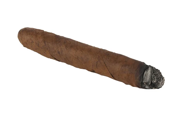 Cigar Isolerad Vit Bakgrund Detalj För Design Designelement Makro Fullt — Stockfoto