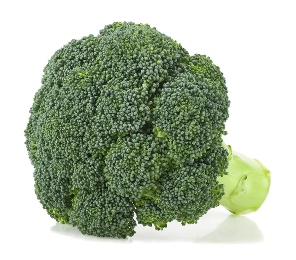 Broccoli Isolerad Vit Bakgrund Vegetarisk Mat Detalj För Design Designelement — Stockfoto