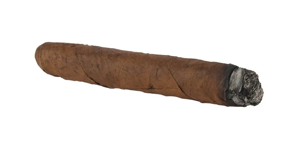 Cigar Isolerad Vit Bakgrund Detalj För Design Designelement Makro Fullt — Stockfoto
