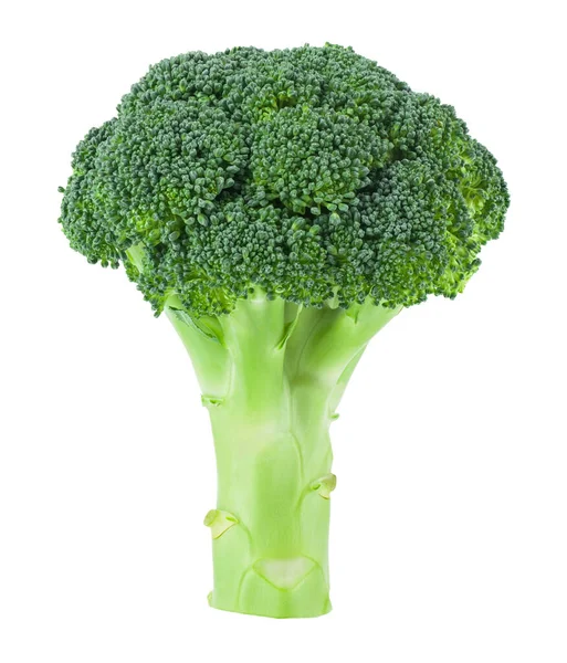 Brokoli Terisolasi Pada Latar Belakang Putih Detail Untuk Desain Desain — Stok Foto