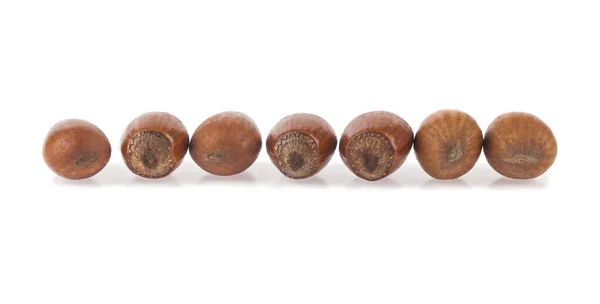Hazelnuts Изолированы Белом Фоне Мбаппе Дизайн Элементы Дизайна Макро Полный — стоковое фото