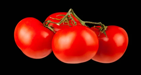 Tomates Aislados Sobre Fondo Negro Comida Vegetariana Detalle Para Diseño — Foto de Stock