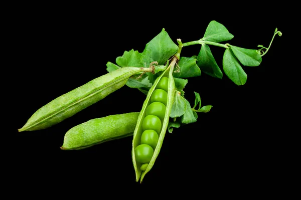 Green Peas Isolated Black Background Detail Design Design Elements Macro — Stock Photo, Image