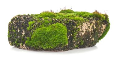 Beyaz arka planda yosun tutmuş eski bir tuğla. Tasarım ayrıntıları. Tasarım elemanları. Makro. Tam odaklanma. Kartvizitler, kartvizitler ve posterler için arka plan 