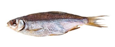 Kurutulmuş balık beyaz arka planda izole edilmiş. Tasarım ayrıntıları. tasarım elemanları. Makro. Tam odaklanma. Kartvizitler, kartpostallar ve posterler için arka plan.