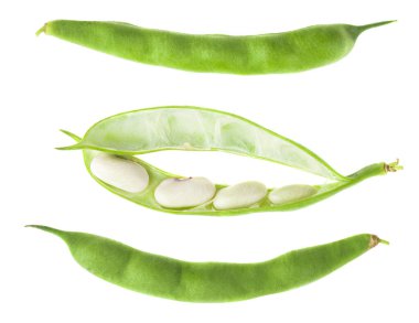 Yeşil fasulyeler beyaz arka planda izole edilmiş. Tasarım ayrıntıları. Tasarım elemanları. Makro. Tam odaklanma. Kartvizitler, kartpostallar ve posterler için arka plan