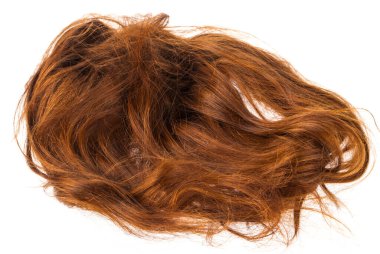 Beyaz arka planda izole edilmiş saç peruğu. Tasarım ayrıntıları. Tasarım elemanları. Makro. Tam odaklanma. Kartvizitler, kartpostallar ve posterler için arka plan