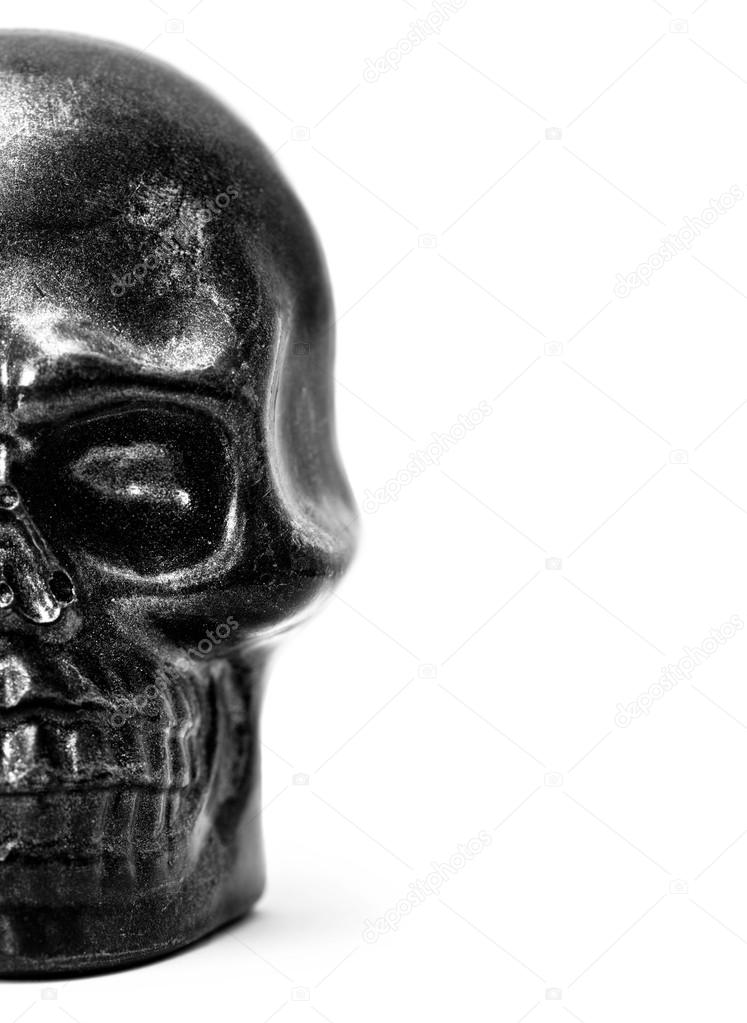 Skull in black and white