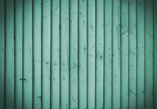 에메랄드 나무 벽 — 스톡 사진
