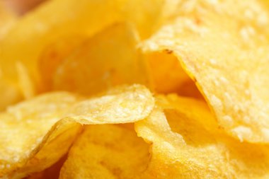 cips portre