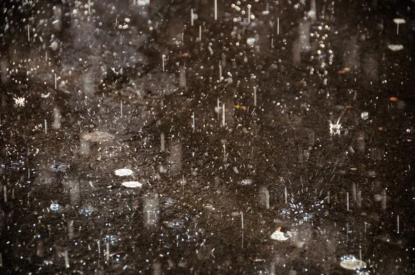 雨 — ストック写真