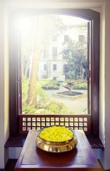 Κίτρινα λουλούδια και ανοιχτό παράθυρο — Φωτογραφία Αρχείου