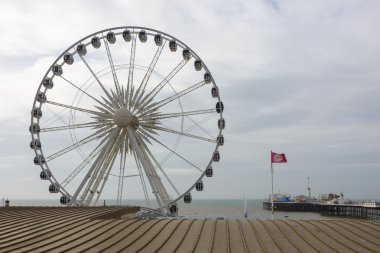 brighton tekerlek