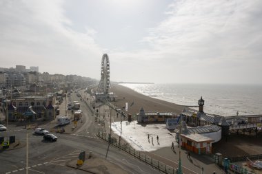 brighton tekerlek