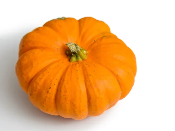 Calabaza sobre fondo blanco — Foto de Stock