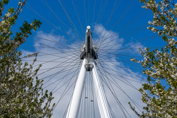 O EDF Energy London Eye — Fotografia de Stock