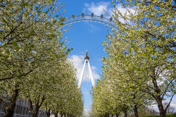 O EDF Energy London Eye — Fotografia de Stock