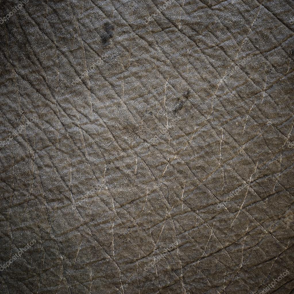 Tapete Elefantenhaut depositphotos 39453341 stock photo elephant skin texture - Tapete Elefantenhaut