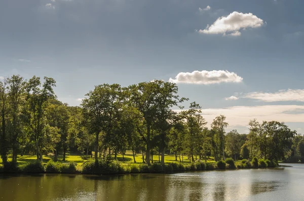 Park in het voorjaar van — Stockfoto