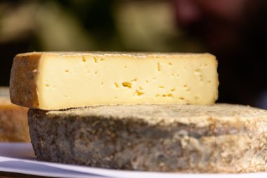 Fransız tomme peynir