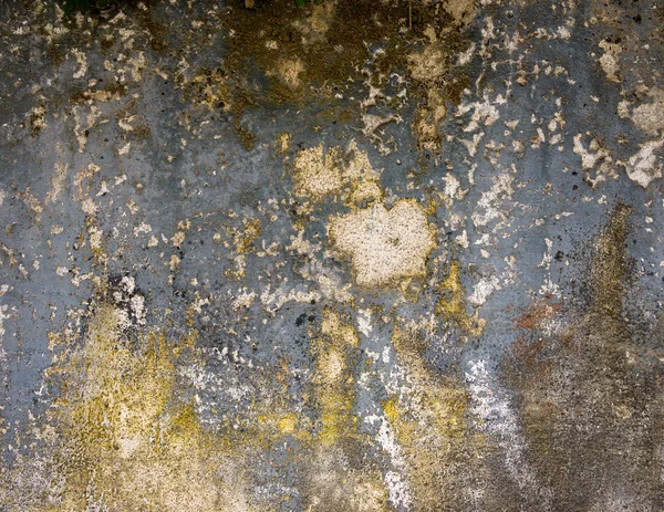 지저분한 시멘트 벽 — 스톡 사진