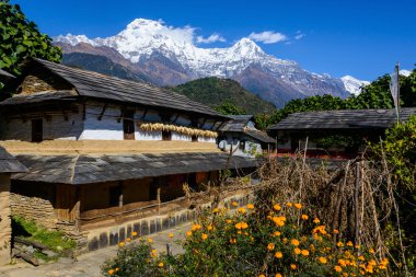 annapurna bölgesindeki ghandruk Köyü