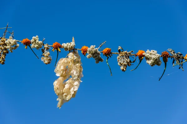 Flower garland — Stock Photo, Image