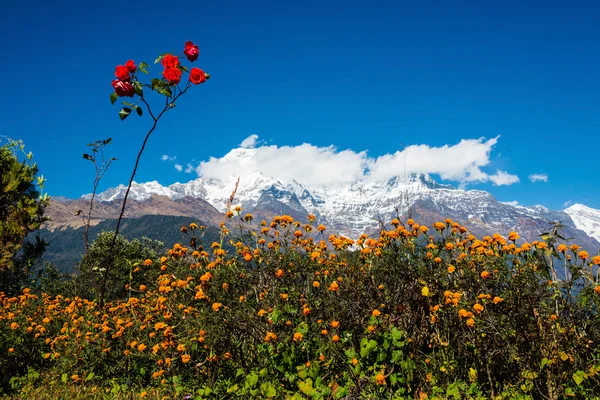 The Annapurna South and the Hiunchuli — Stock Photo, Image