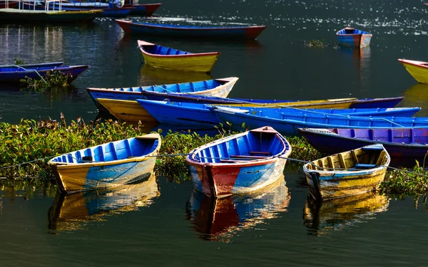 Barevné barques v pokhara, Nepál — Stock fotografie