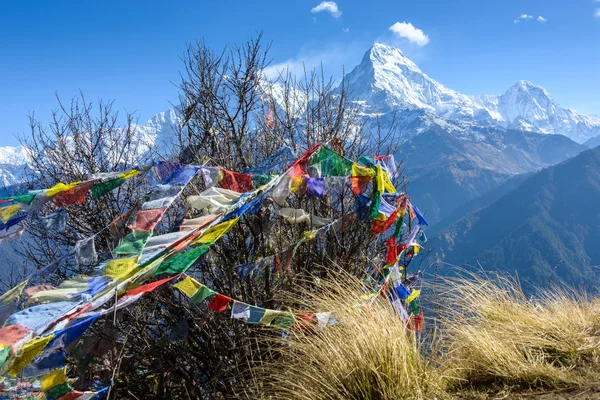 El sur de Annapurna en Nepal — Foto de Stock