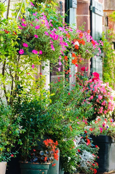 Fleurs devant une maison — Photo