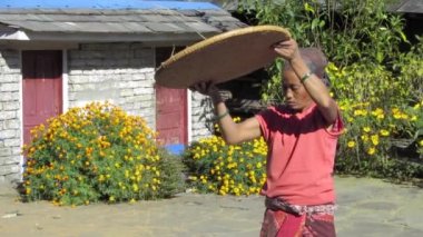 Nepal kadın hububat Eleme