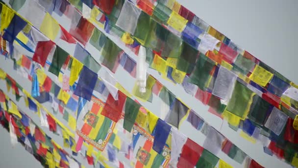 Prayer flags in the wind — Stock Video