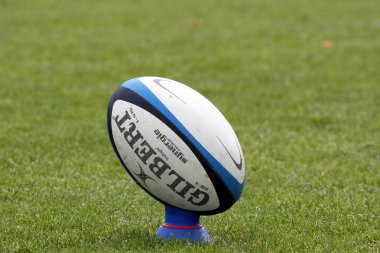 rugby topu