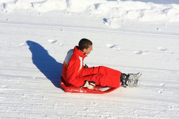 Att åka pulka — Stockfoto