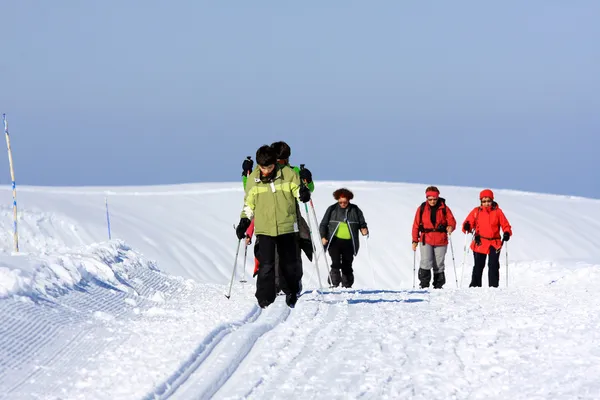 Noords skiën Stockfoto