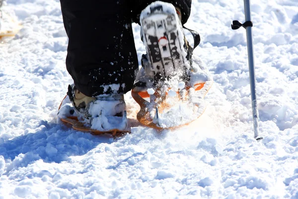 Racket av snö, snöskor Stockbild