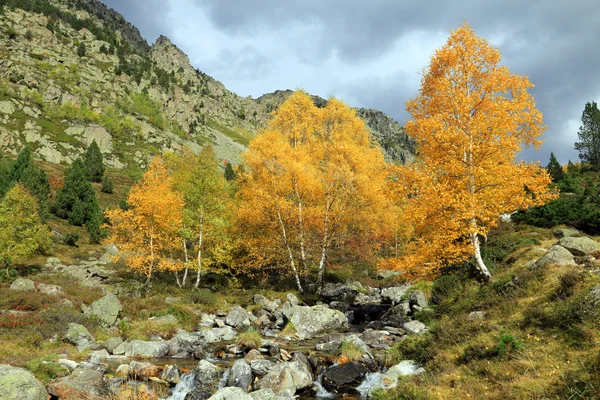 シーンと秋の色 — ストック写真