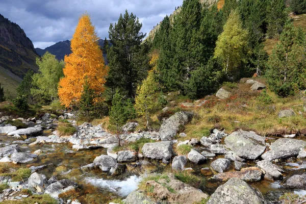 Scène et couleur de l'automne — Photo