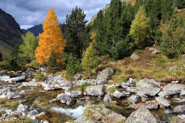 Szene und Farbe des Herbstes Stockbild