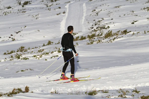 Nordic skiing — Stock Photo, Image